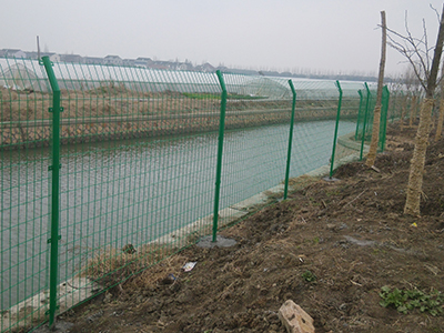 河北 河北双边丝护栏网图片1
